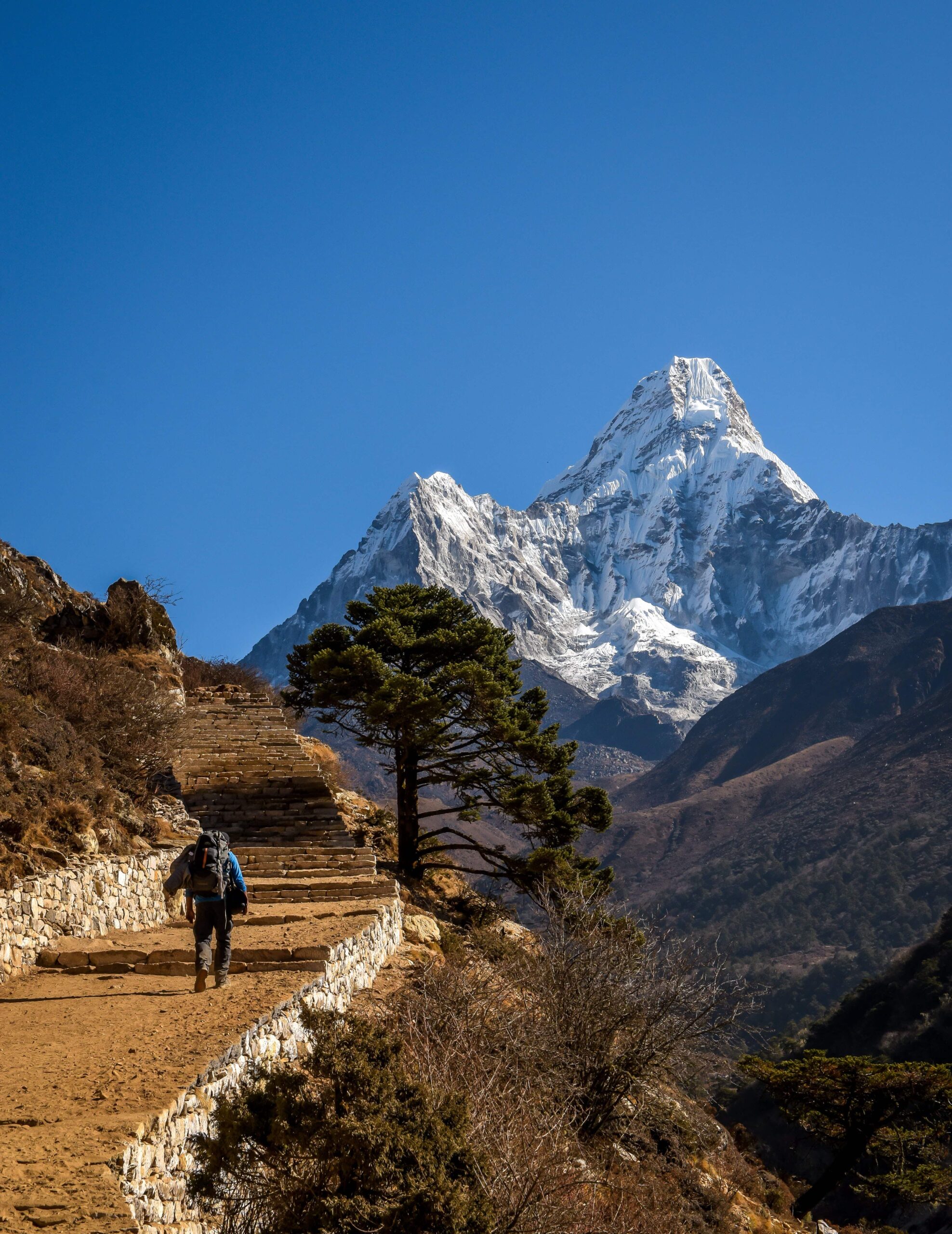 Luxury Soft Adventure – 2 weeks in Nepal