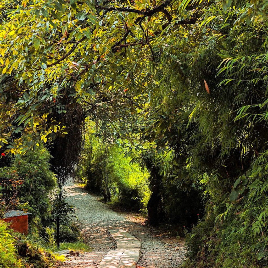 Tiger Mountain Pokhara Lodge, Pokhara