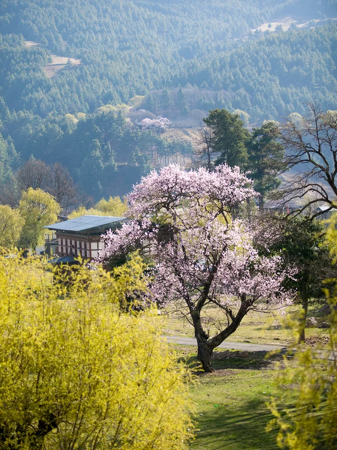 Six Senses, Bhutan