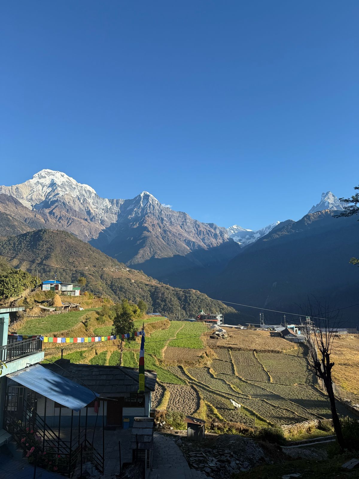 Annapurna Luxury Trek in Nepal